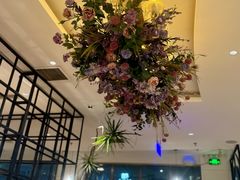 -花舍·新派粤菜·西餐·下午茶(亚运村·鸟巢店)