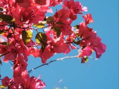 -华南国家植物园-售票处