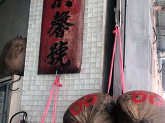 -洪馨椰子
