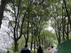 -昭山风景名胜区