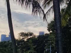 -深圳湾公园(南山区)