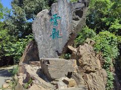 -惠山国家森林公园