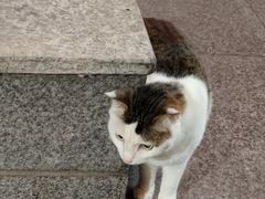 -水先生寧波菜(天一店)