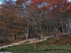 -神户市立六甲山牧场