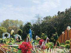 -上海共青森林公园