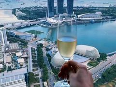 -新加坡瑞士史丹福酒店