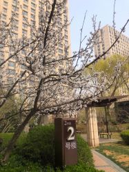 -Lumi露米·美甲美睫品质店