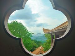 -深圳仙湖植物园