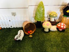 -舟山希尔顿酒店