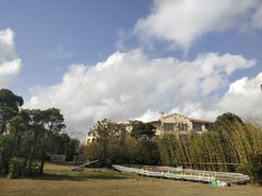 -上海崇明金茂凯悦酒店