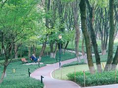 -重庆市江北嘴中央商务区中央公园