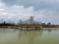 -白鹭湾湿地公园