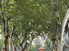 -四川大学(望江校区)