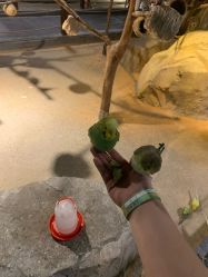 -酷嗒动物文化乐园(cutezoo西溪乐天城店)