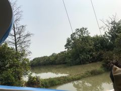 -大湾区中央湿地公园