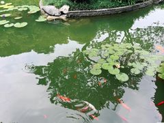 -云溪植物园