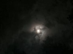 -七彩云南古滇温泉山庄