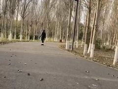 -东郊湿地公园
