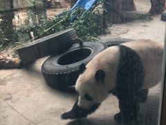 -石家庄市动物园