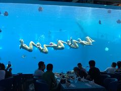 -瑞德姆美人鱼海底演艺主题餐厅(亚龙湾店)