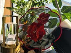 -龙井御庄·精致江南菜(龙井店)
