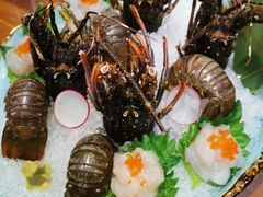 小青龙-尺山寸水日料(马桥满天星店)