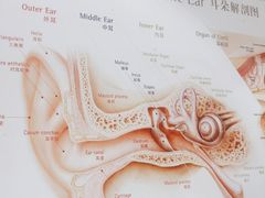 -自然之声助听器·呼吸机(贵定店)