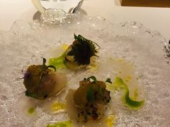 -蝶舍·MAISON PAPILLON