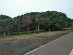 -尚贤河湿地
