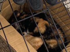 -中田健身工作室(嘉定江桥店)