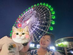 -琴岛之星摩天轮