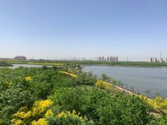 -天津东丽湖风景区