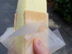 -詹爷爷乌节路街头冰淇淋