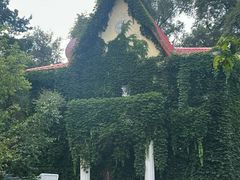 -黑龙江省森林植物园