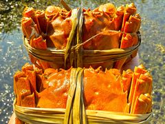 -小陆莲花蟹园农家乐(莲花岛店)