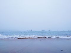 -枸杞岛