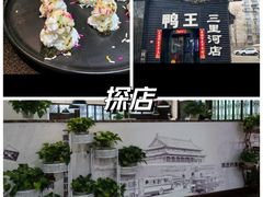 -鸭王烤鸭店(三里河店)