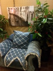 -归真美学颜究中心