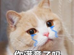 -森龍邑·烧烤·海鲜·炒菜(闽江路店)