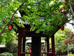 -碑林公园