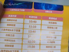 -海合安成都极地海洋公园