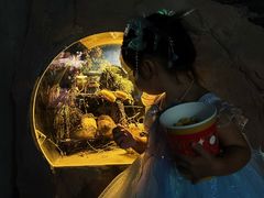 -洛阳龙门海洋馆