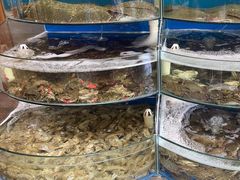 -蓝珊甄选海鲜自助·火锅大排档(近阿那亚店)