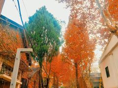 -小河直街历史文化街区