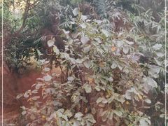 -简朴寨(武东店)