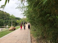 -神光山国家森林公园