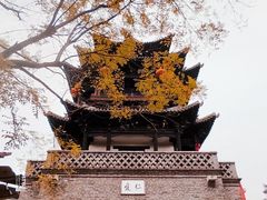 -台儿庄古城