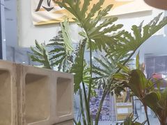 -熊大·鲜烤黄牛肉(五山店)