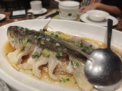 -顺意·顺德家乡菜(国际人才大厦店)