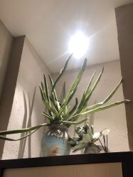 -香秀空间科技抗衰·美容中心